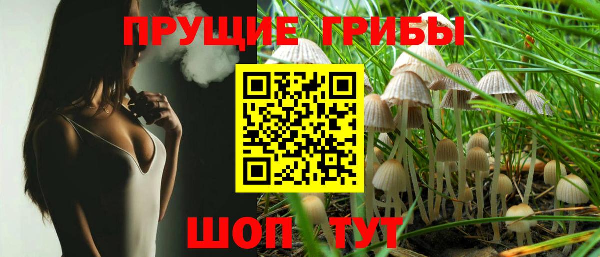Псилоцибиновые грибы GOLDEN TEACHER  Псилоцибиновые грибы Psilocybine cubensis  Междуреченск  Вход с VPN 